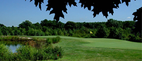 2012 Eugene Morse Memorial Golf Outing