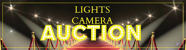 2017 Eugene Morse Memorial Gala Dinner and Golf Outing - Lights Camrea Auction