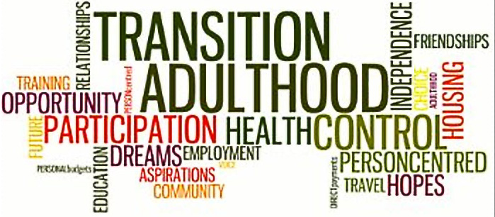 Word Cloud - Transition to Adult Life, Housing, Independence, Guardianship, etc.